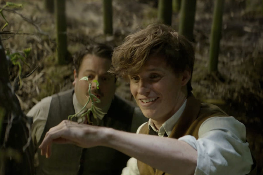 Fantastické zvery film johnny depp