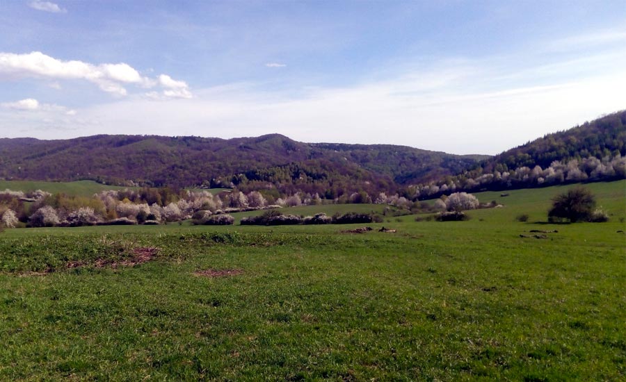 olsinkov najmensie dedinky na Slovensku presovsky kraj 25 obyvatelov