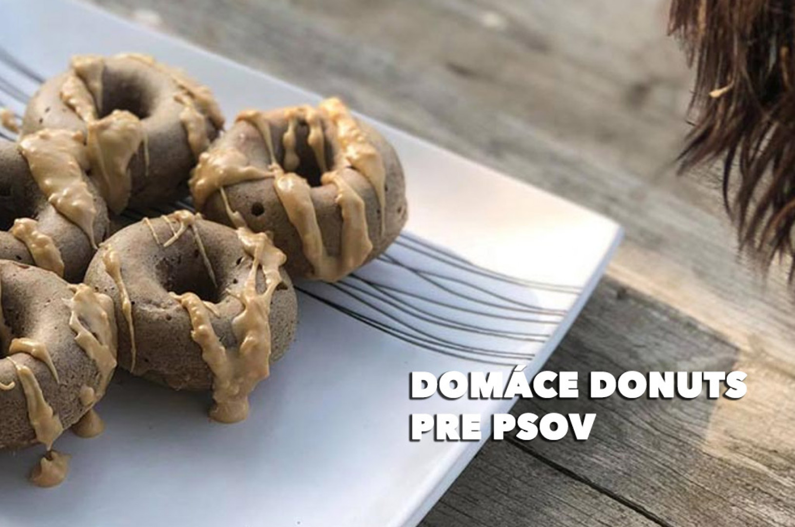 Domáce Donuts pre psov