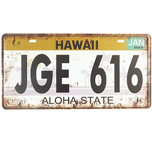 Retro ceduľa ŠPZ Hawaii Aloha 30x15cm